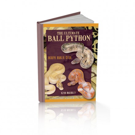 ECO The Ultimate Ball Python (morph maker guide) - Online Reptile