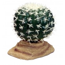 Komodo Barrel Cactus 9cm 82503